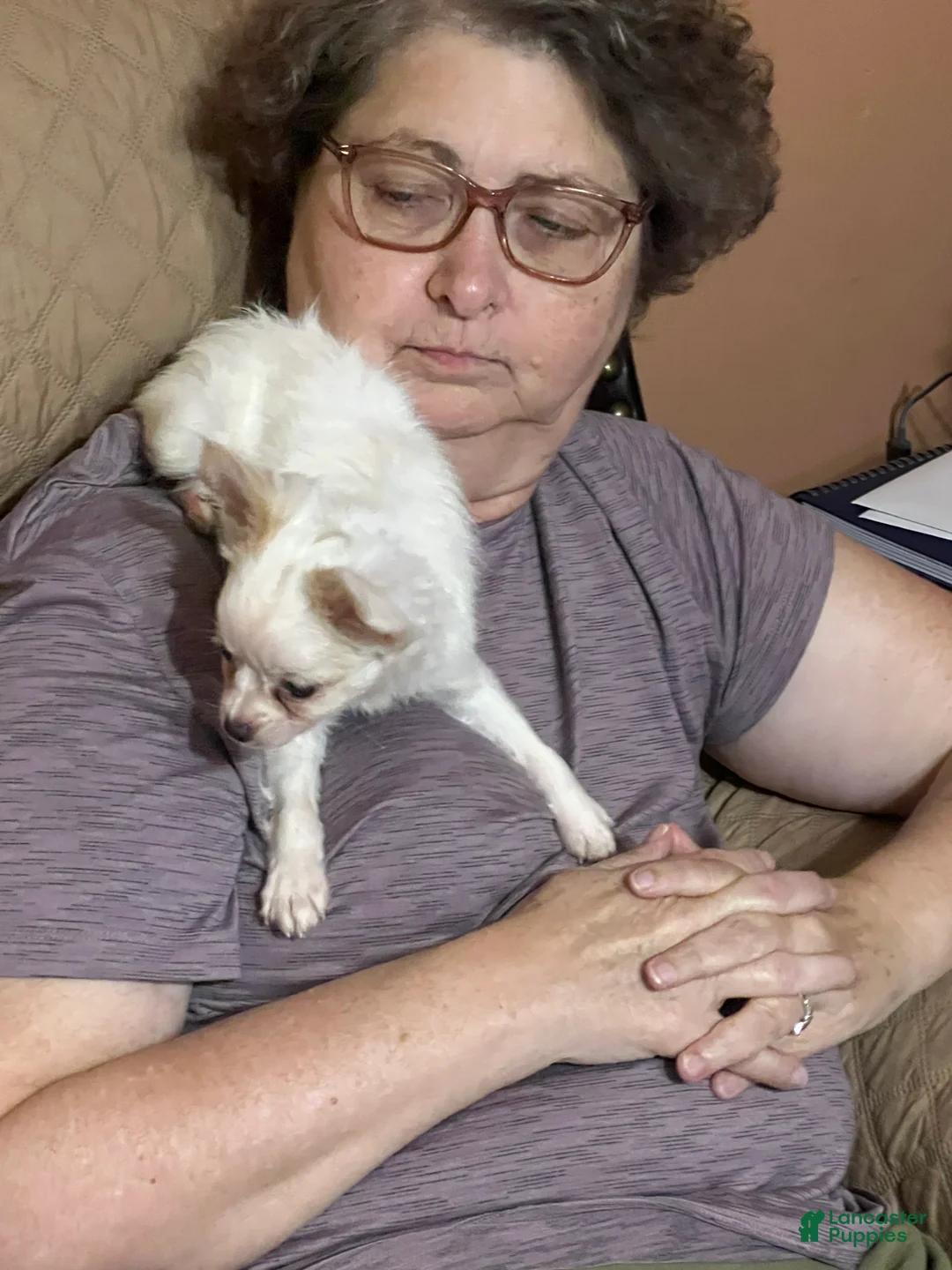 Gallery Image {{count}}