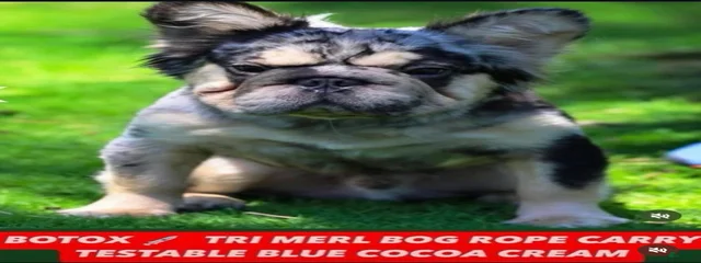 Botox 