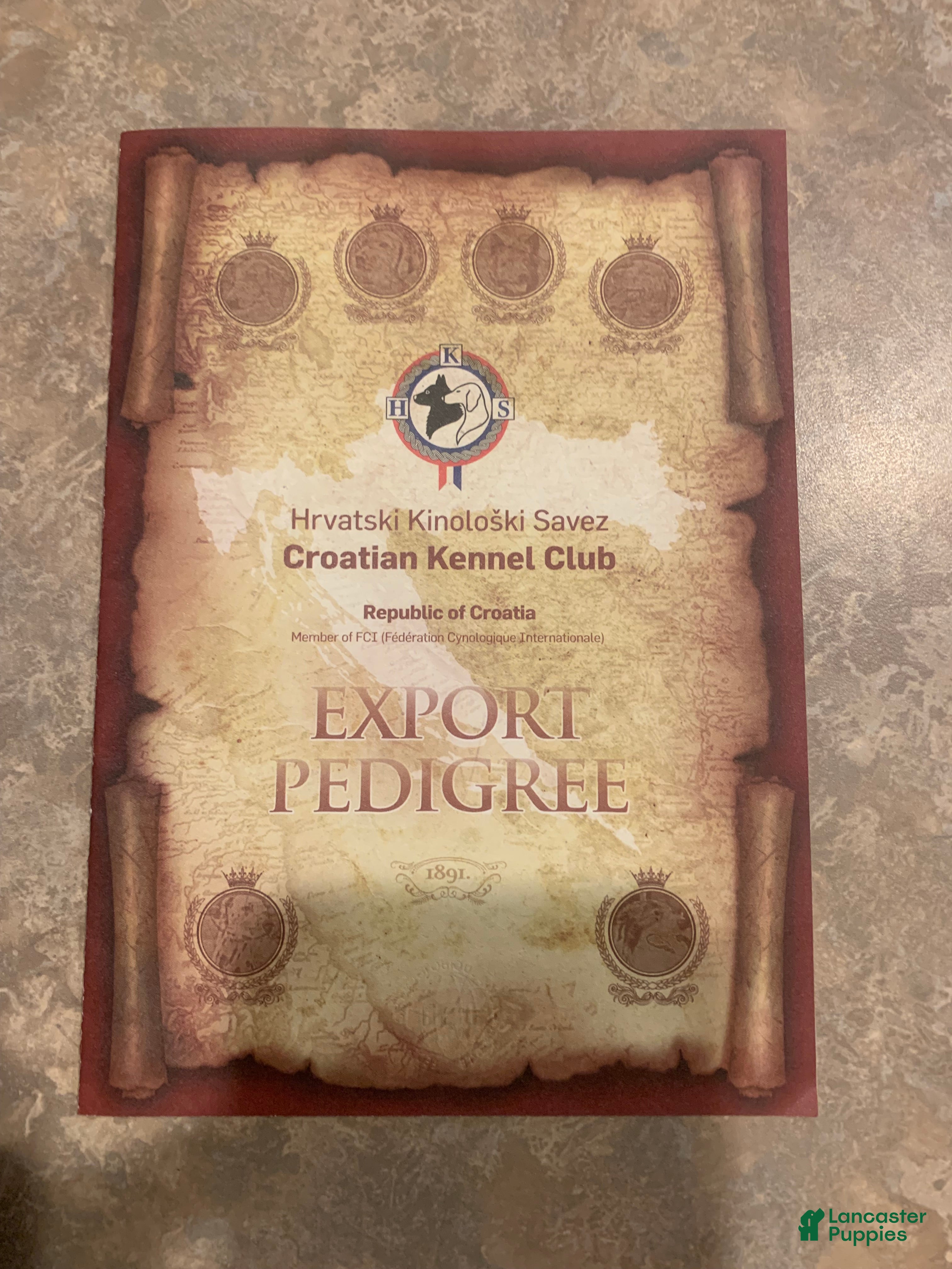 Caucasian Shepherd Dog dogs Caucasian Shepherd Dog Puppy 1 - Ad 2