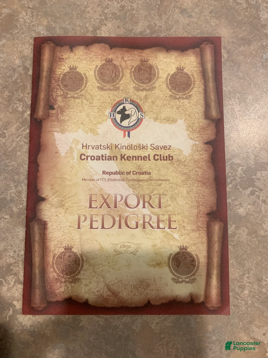 Caucasian Shepherd Dog dogs for sale: Caucasian Shepherd Dog Puppy 1 - Ad 2