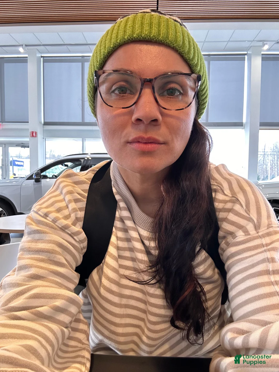 Gallery Image {{count}}