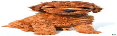 Cassandra