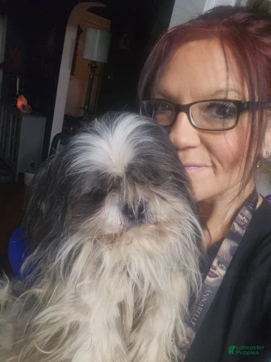 Gallery Image {{count}}