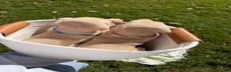 Doberman Pinscher dogs for sale: Doberman Pinscher 5 - Ad 2
