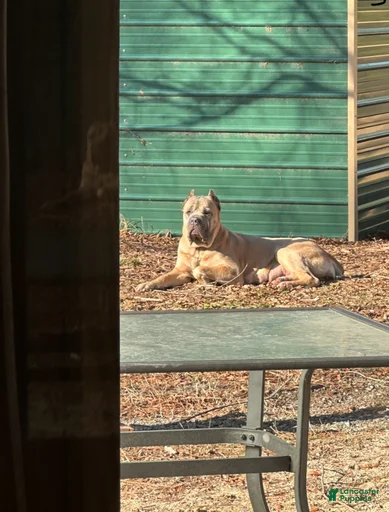 Gallery Image {{count}}