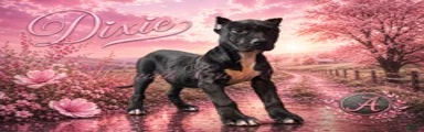 Dixie