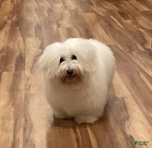 Gallery Image {{count}}