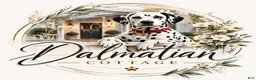 Dalmatian dogs for sale: Arlo - Ad 4