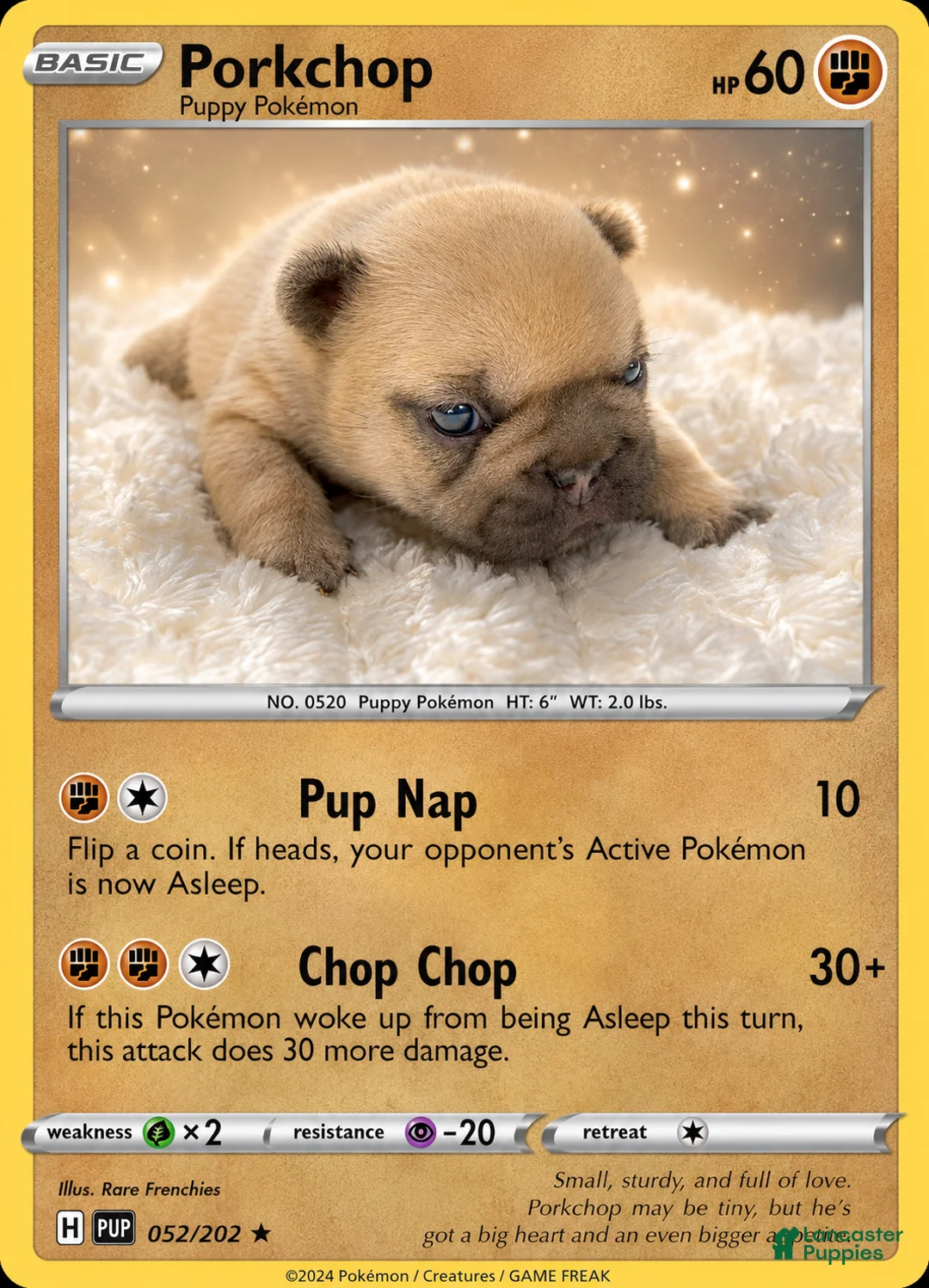 French Bulldog dogs for sale: Porkchop  - Ad 1
