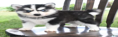 Alaska