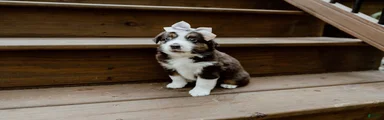 Skye