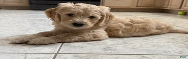 Esther
