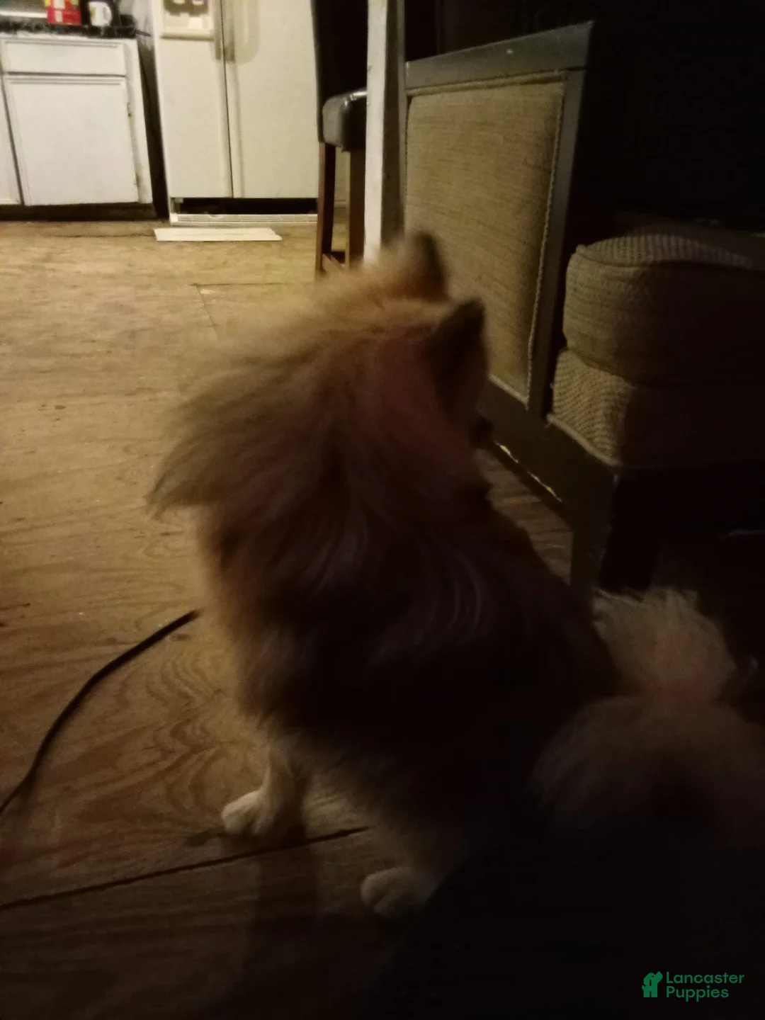 Gallery Image {{count}}