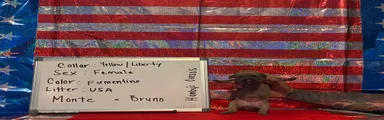 Liberty