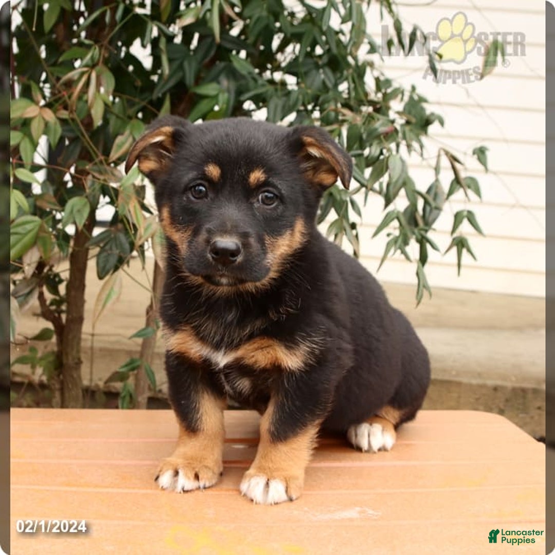 Gallery Image {{count}}