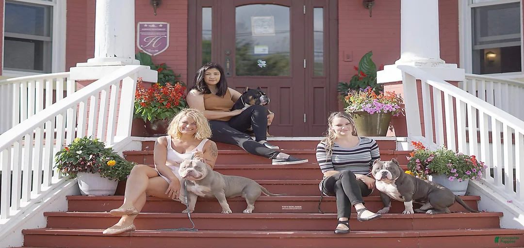 Gallery Image {{count}}