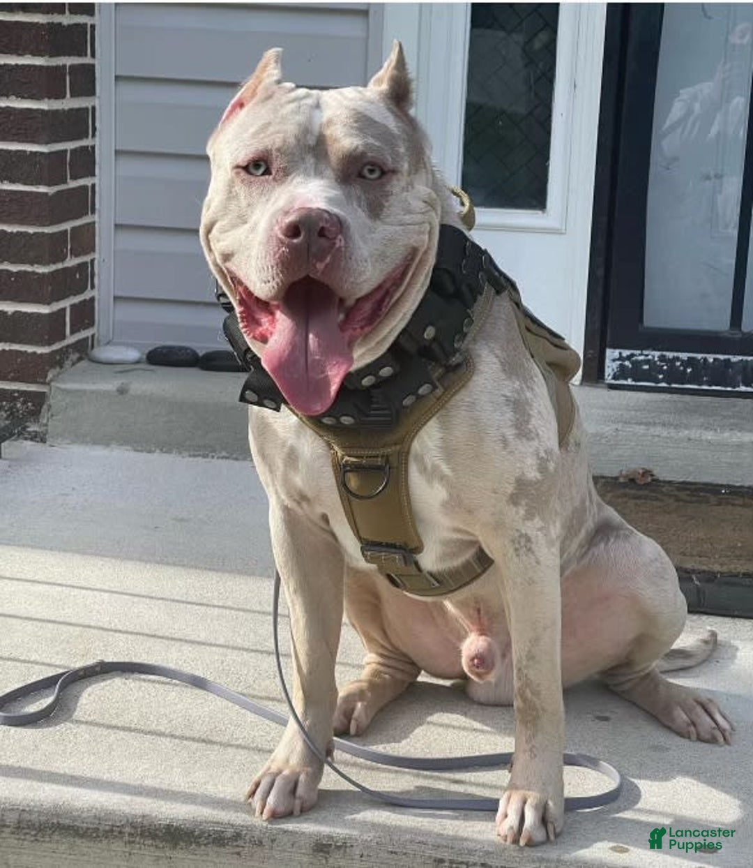 Gallery Image {{count}}