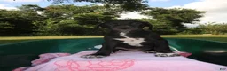 Mixed Breed dogs for sale: Emerald - Ad 1