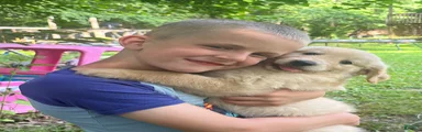 Brenna