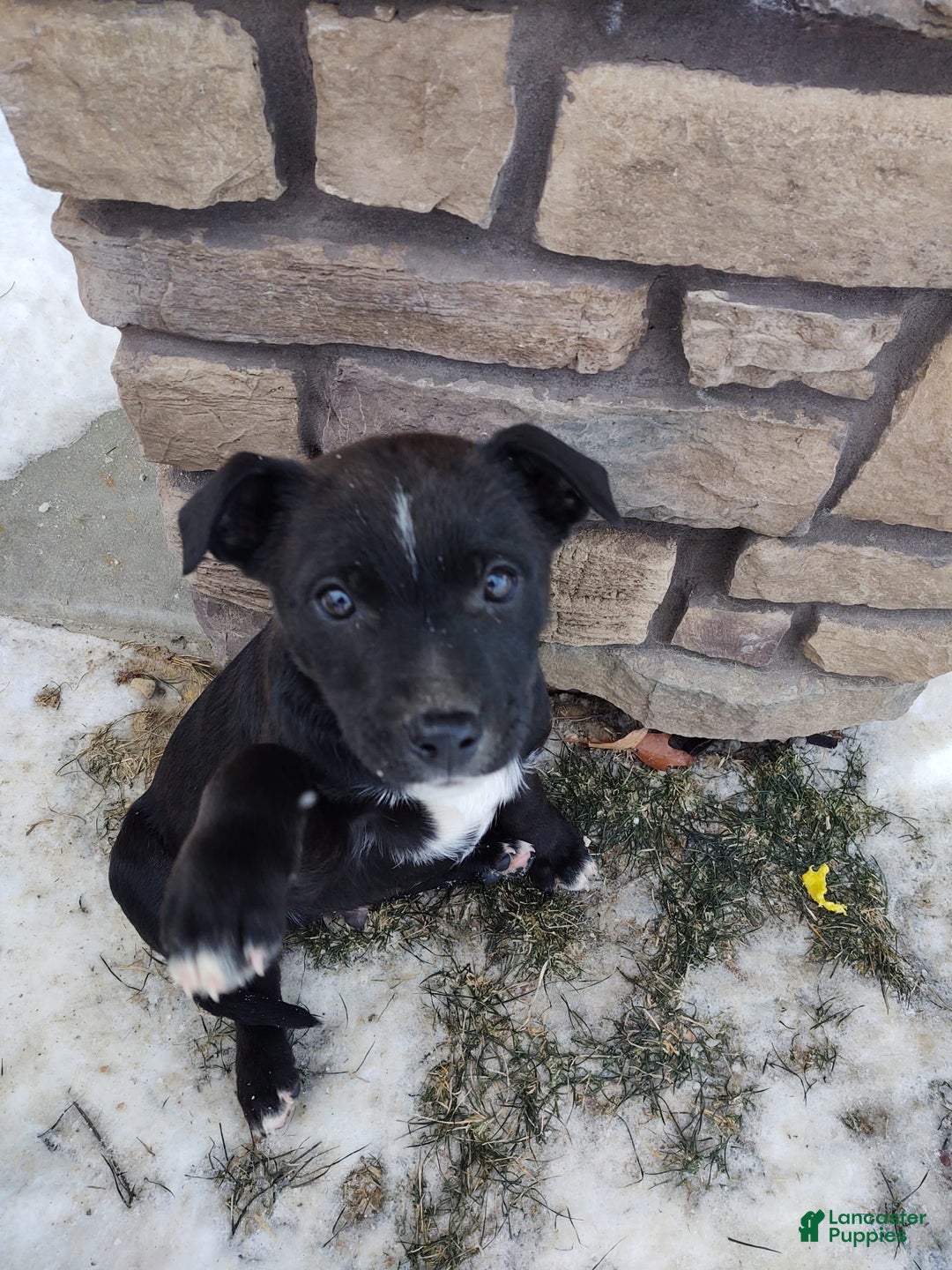 Gallery Image {{count}}