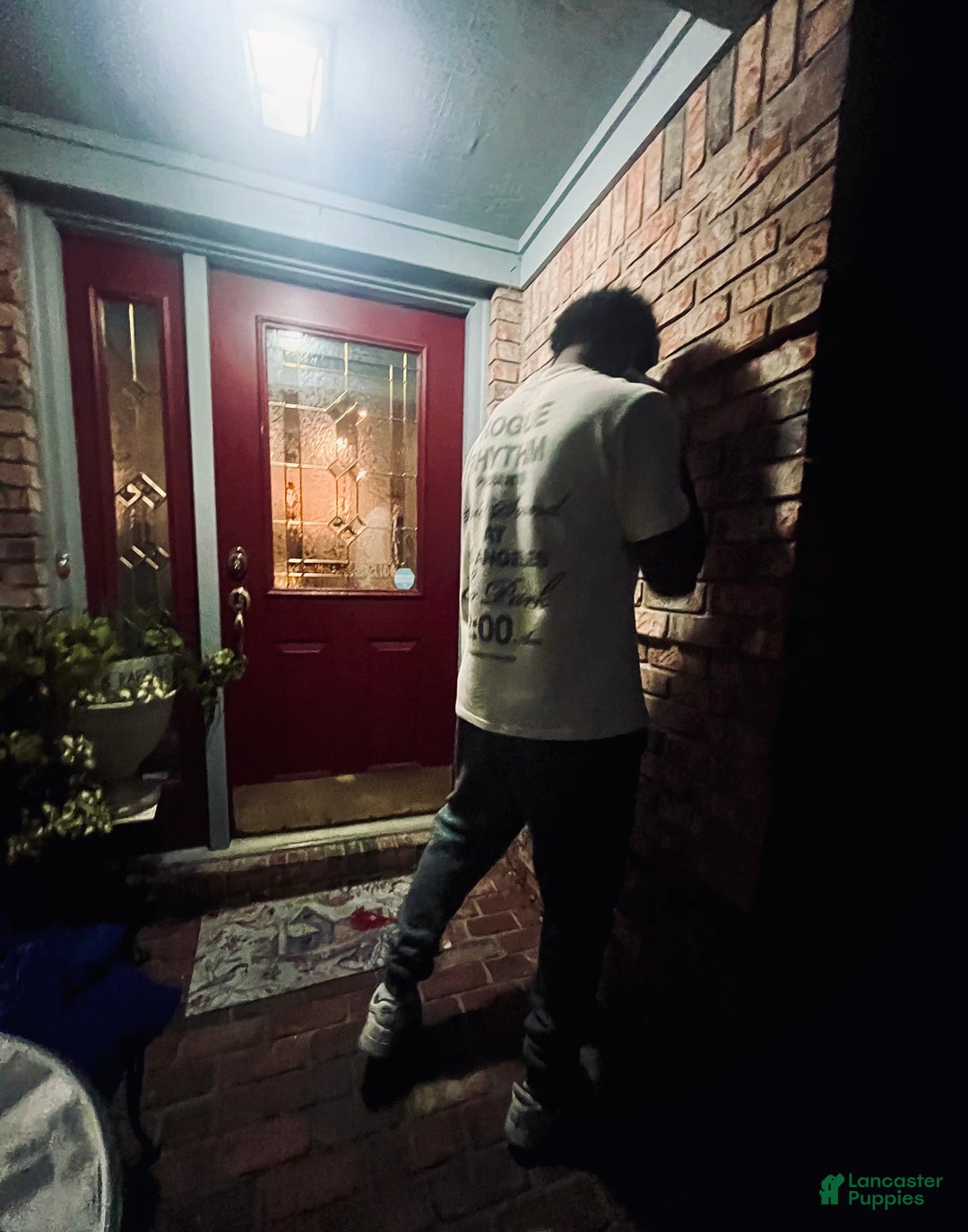 Gallery Image {{count}}