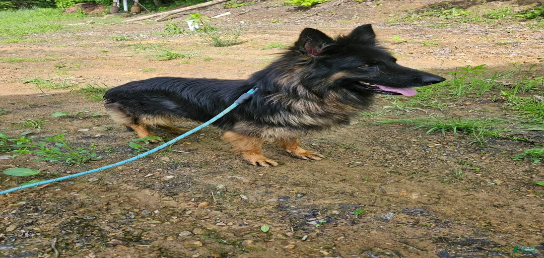 Gallery Image {{count}}