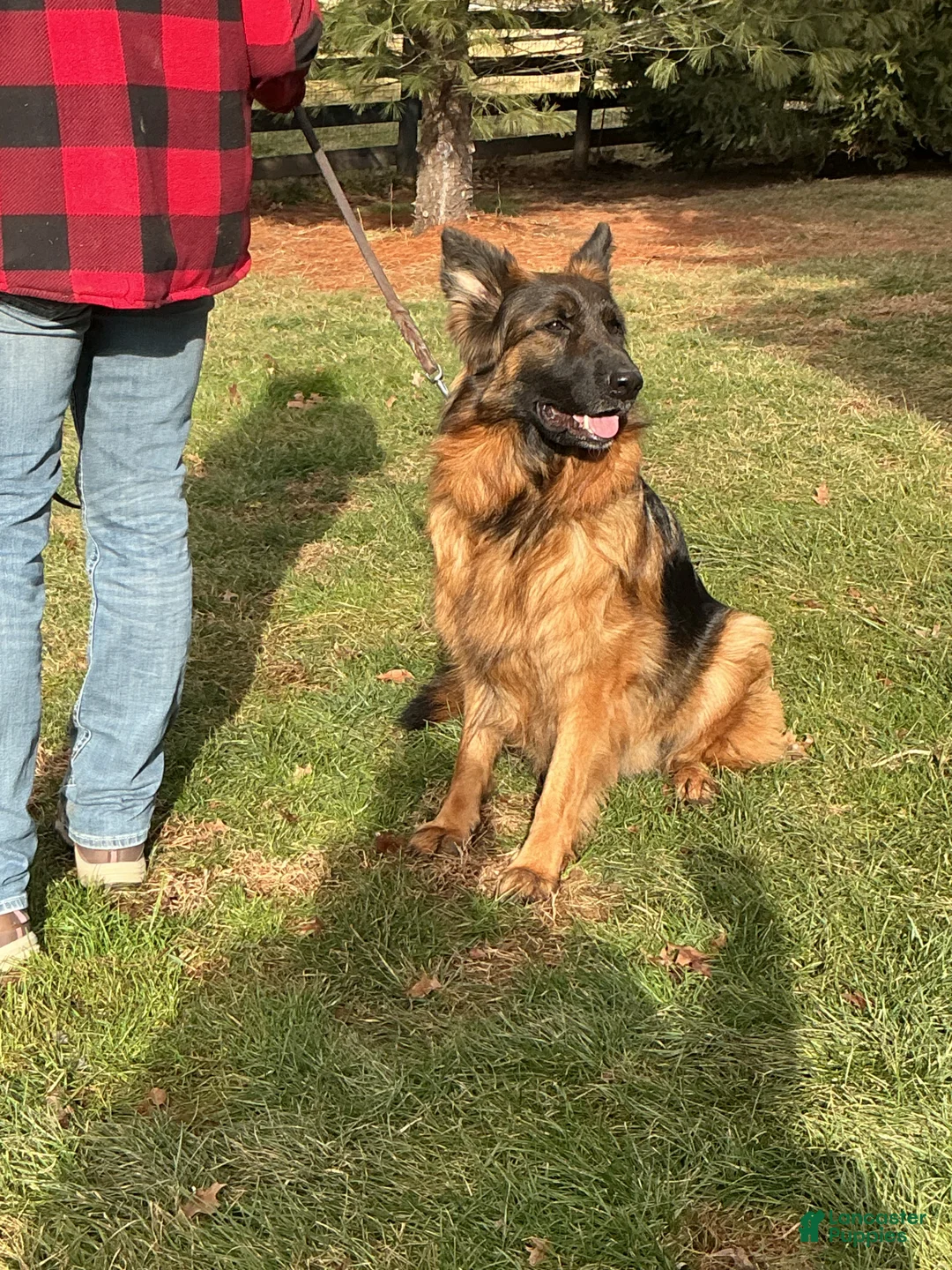 Gallery Image {{count}}