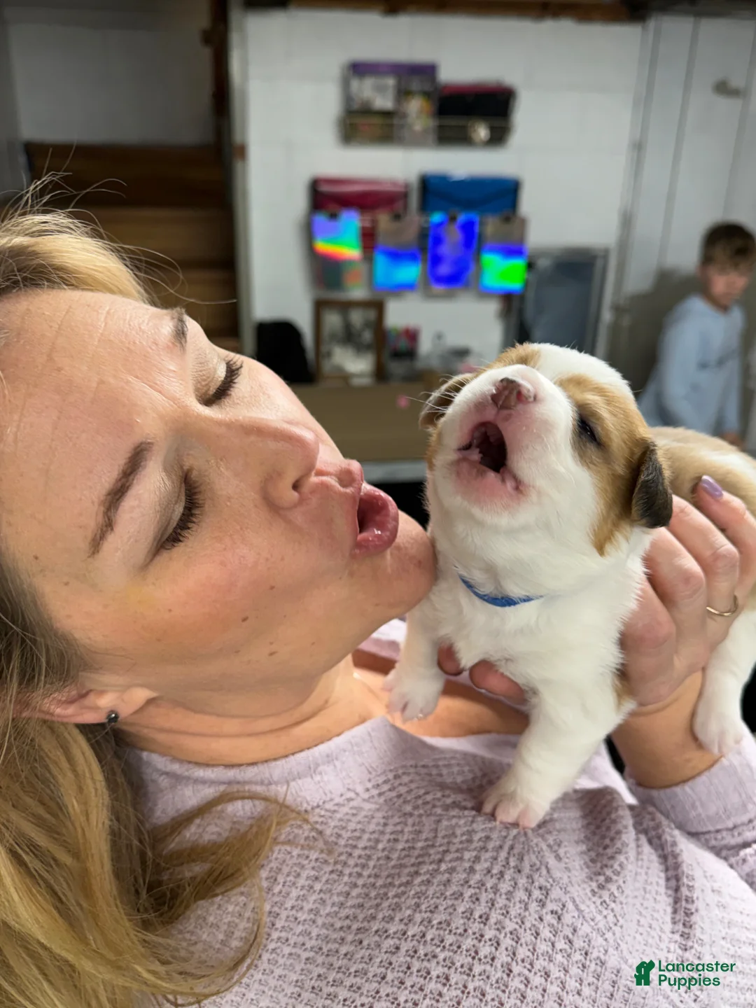 Gallery Image {{count}}