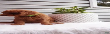 Zeg