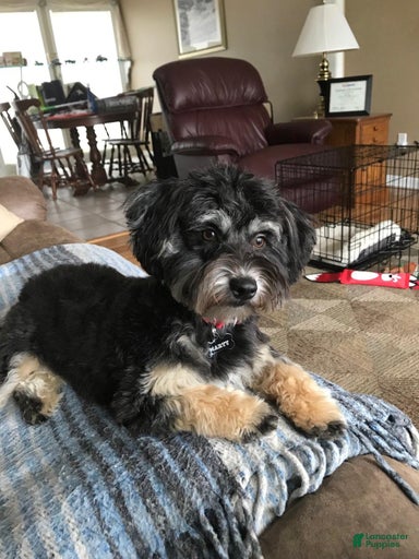 Gallery Image {{count}}