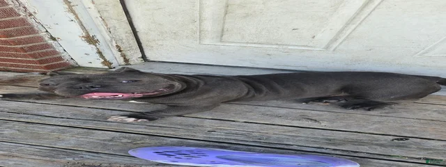 Rio