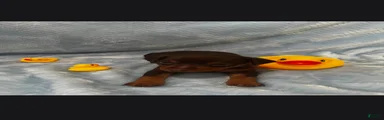 Miniature Pinscher 2