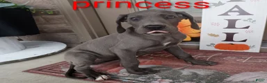 Princess
