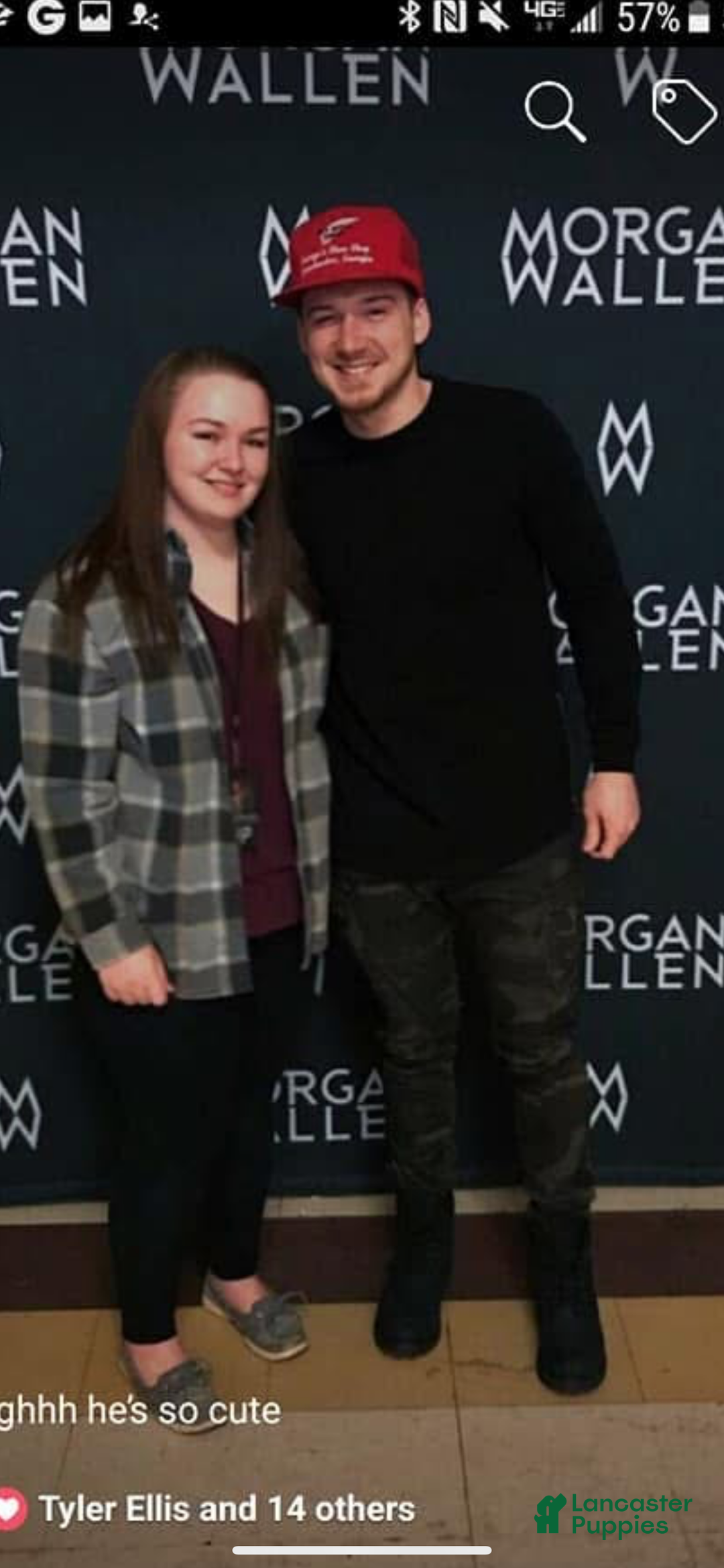 Yorkshire Terrier dogs for sale: Moes Tiny baby boy - Ad 6