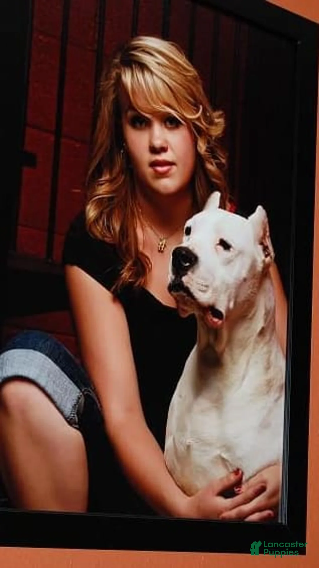 Gallery Image {{count}}