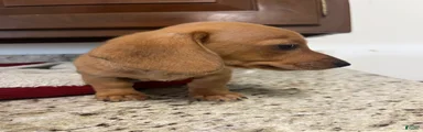 Winnie 