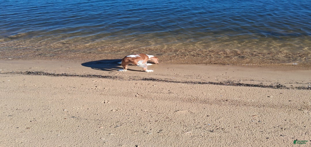 Gallery Image {{count}}