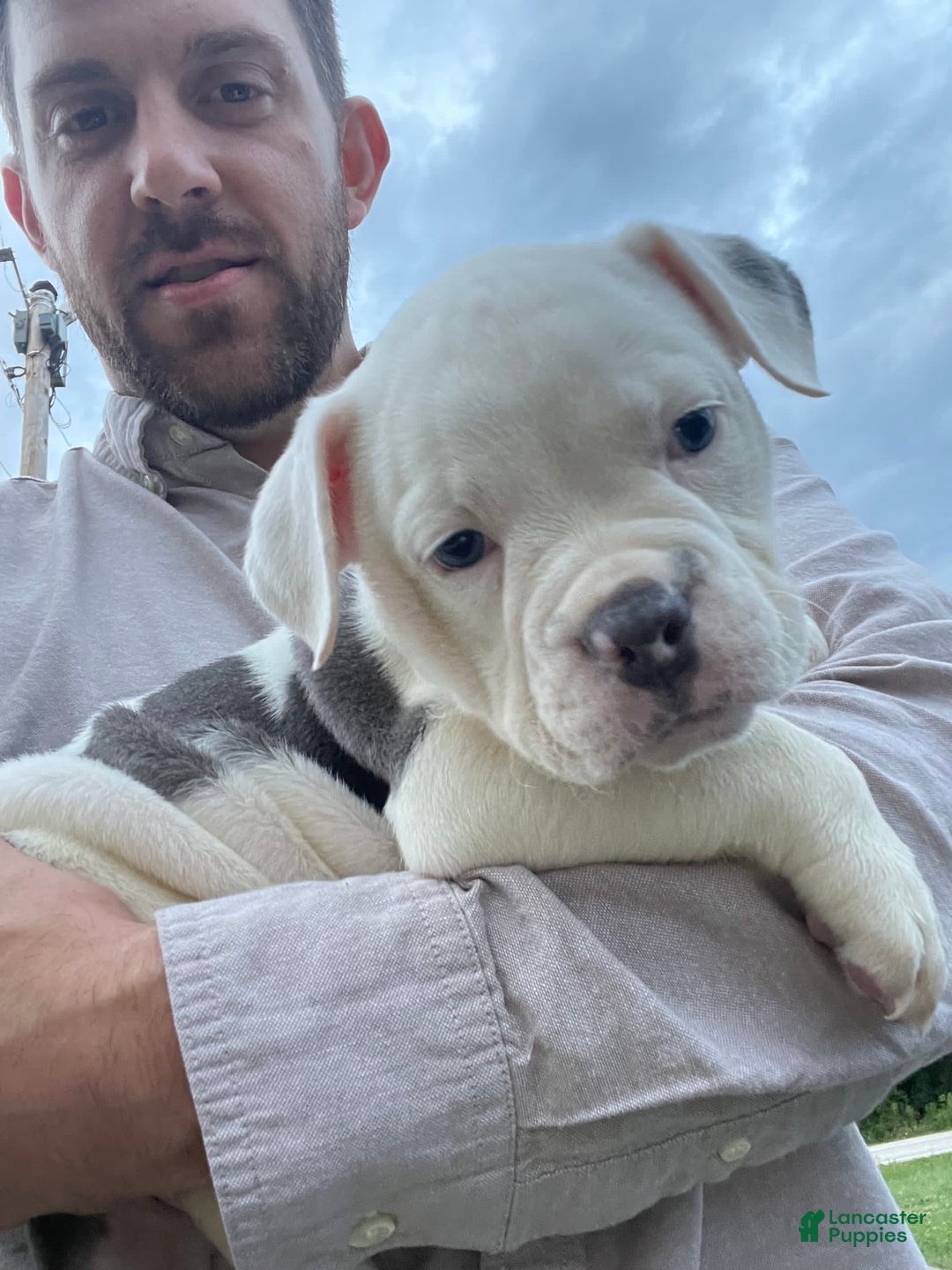 Gallery Image {{count}}