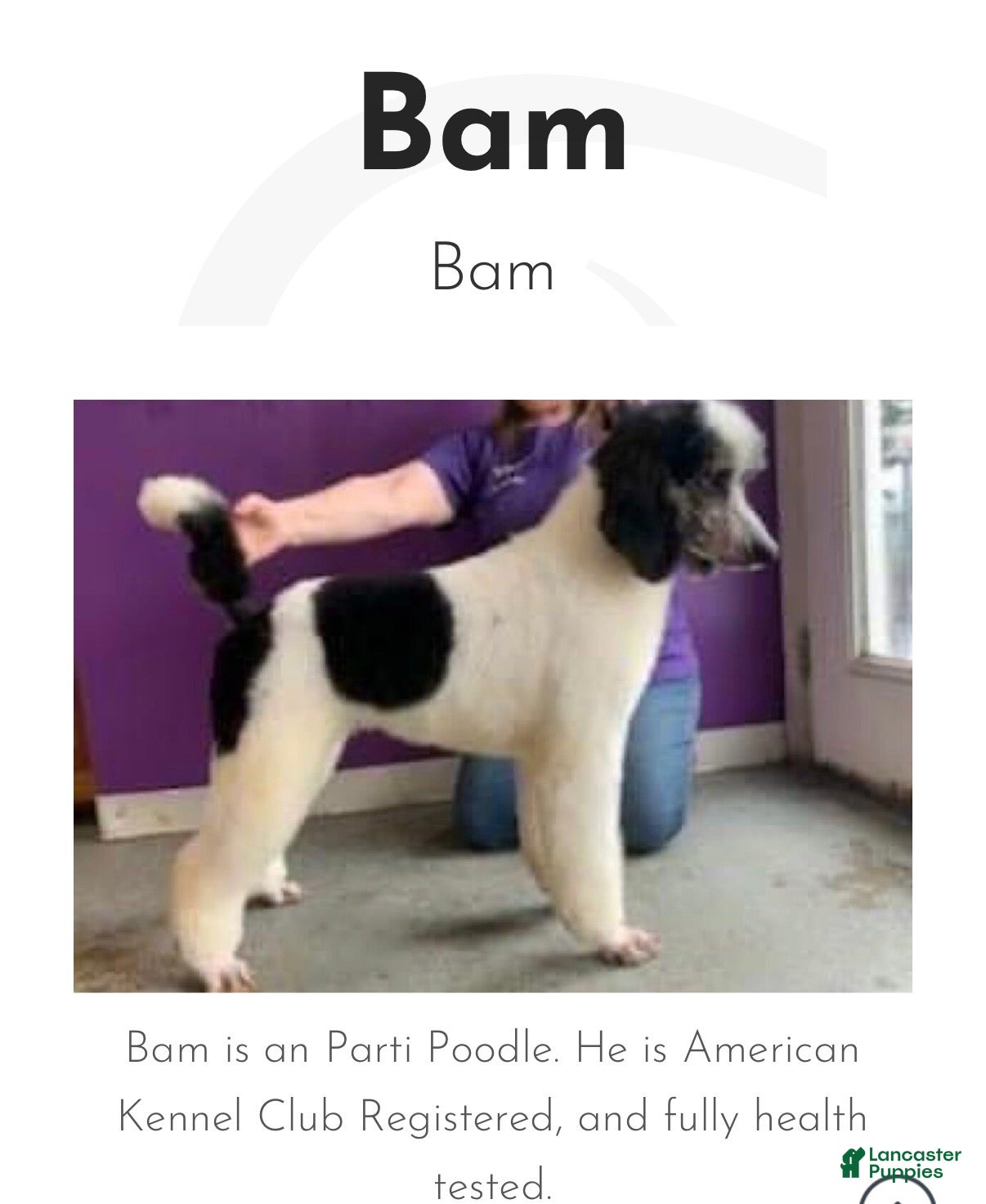 Bam