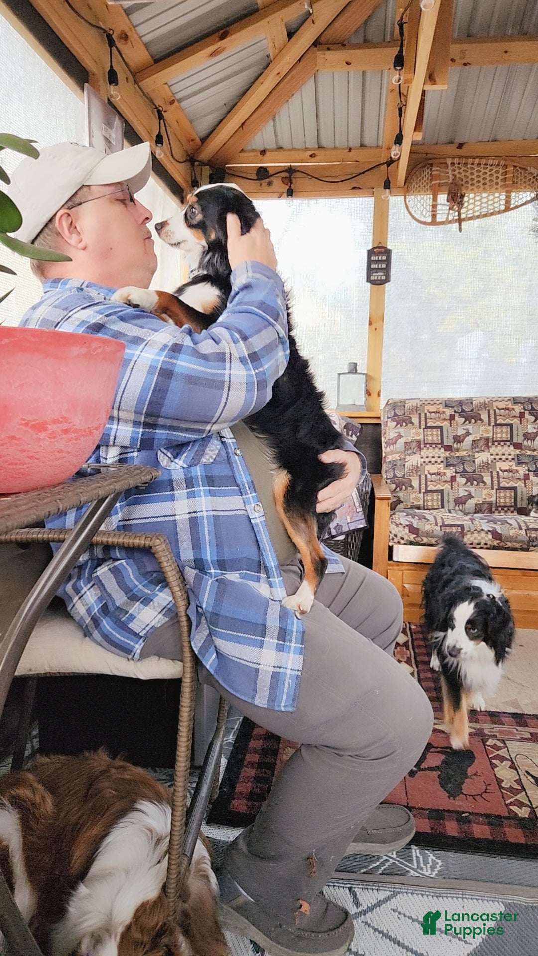 Gallery Image {{count}}