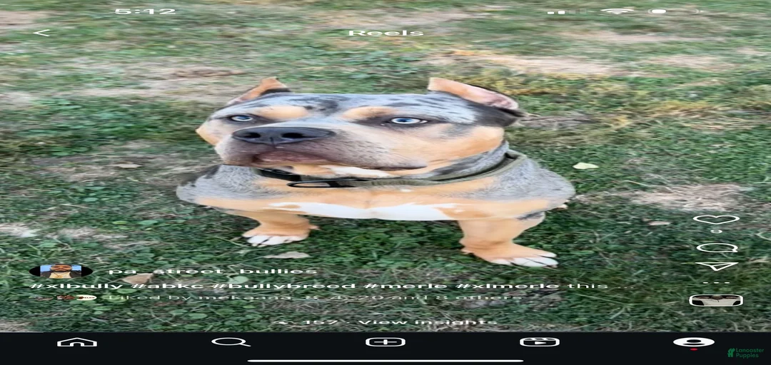 Gallery Image {{count}}