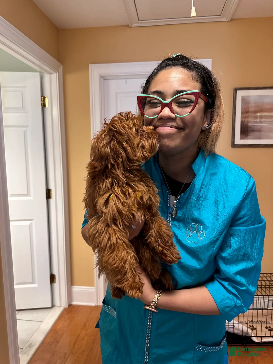 Gallery Image {{count}}