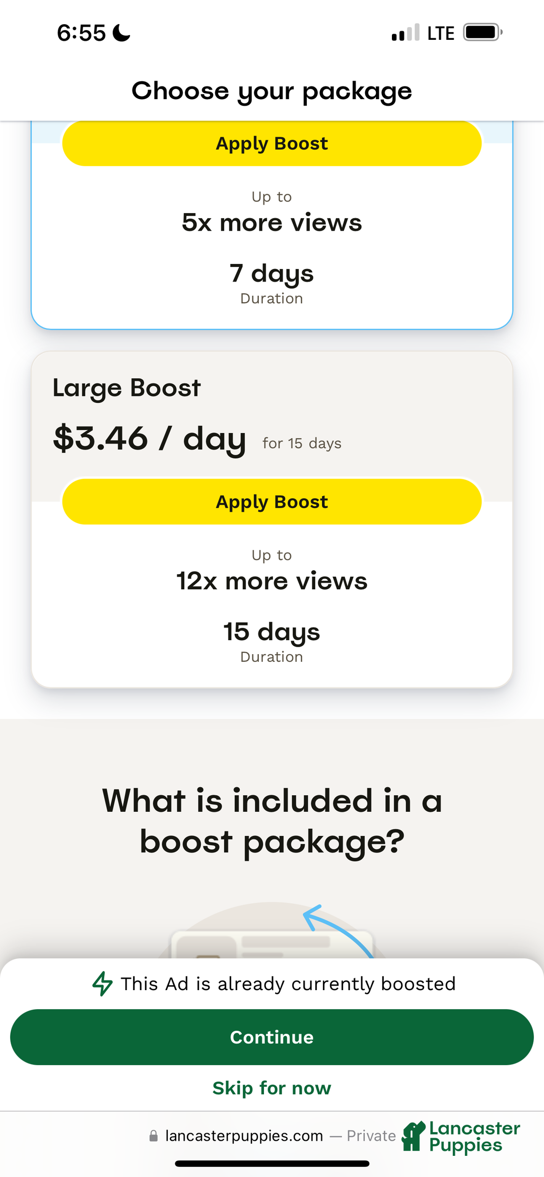 German Shepherd dogs for sale: Duncan - Ad 7