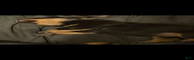 Rottweiler 3