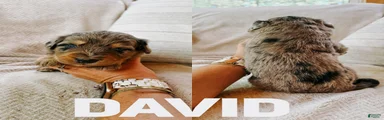 David 