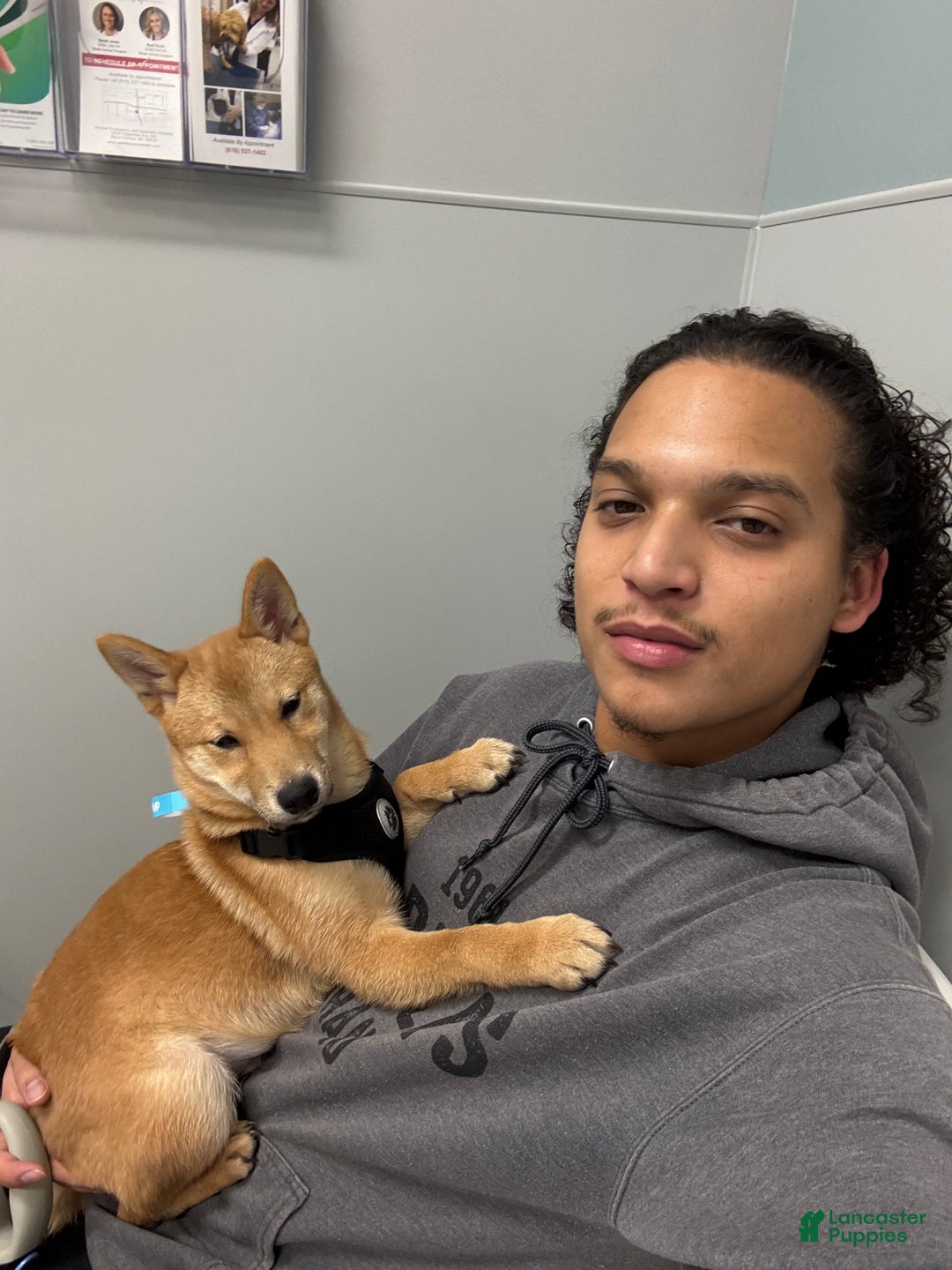 Gallery Image {{count}}