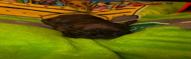 Britney brindle