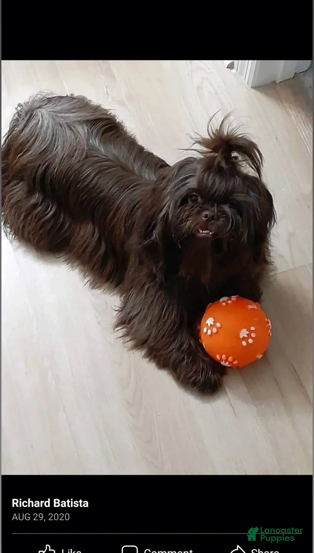 Gallery Image {{count}}