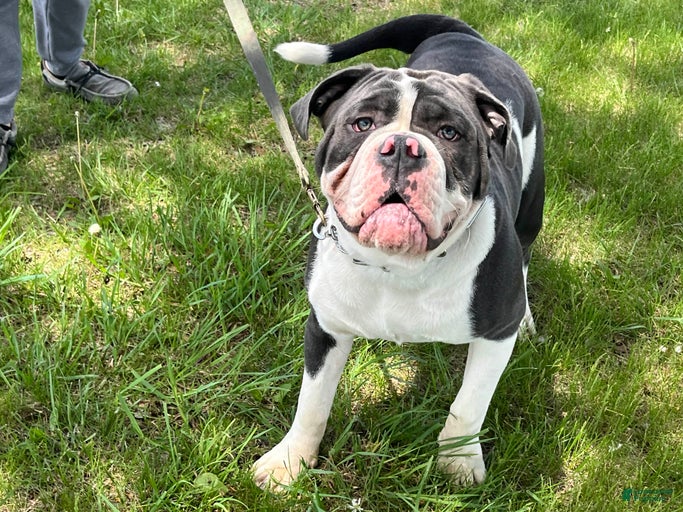 Gallery Image {{count}}