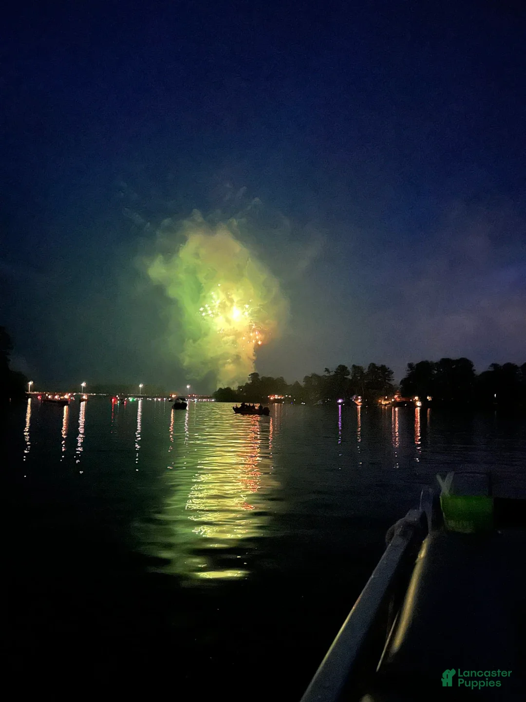 Gallery Image {{count}}